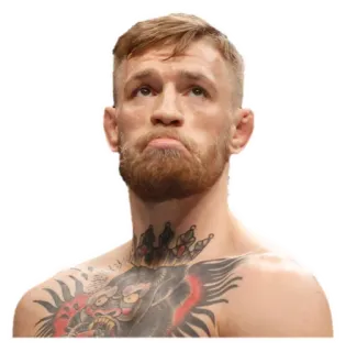 ☹ Conor McGregor luchador, mma, ufc, deportes, mcgregor, tatuaje telegram sticker