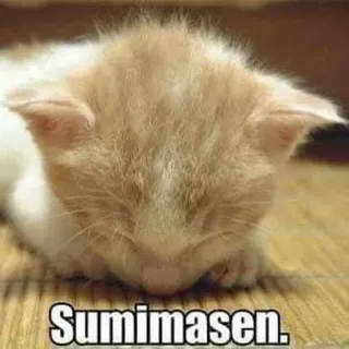 🙇‍♀ Sumimasen. telegram sticker