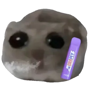 🚬 Grapey 고양이, 베이프, 포도, 흡연 whatsapp sticker