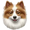 🐶