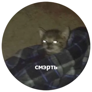 💀 смерть kat, dood, dier, meme whatsapp sticker