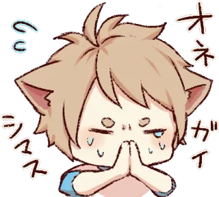 🙏 オネガイシマス Аниме, Запрос, Молящий, Милый, Кошачьи ушки telegram sticker