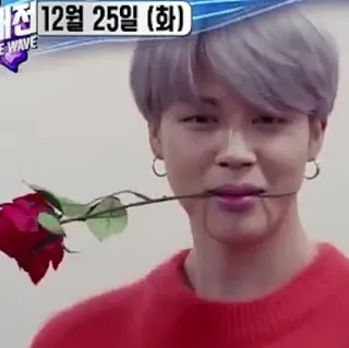 🌹 12월 25일 (화) man, rose, korean, date, flower, person telegram sticker