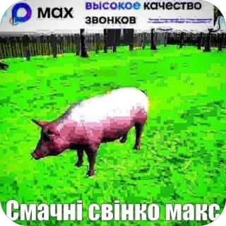 🫥 МАХ ВЫСОКОЕ КАЧЕСТВО ЗВОНКОВ СМАЧНІ СВІНКО МАКС telegram sticker