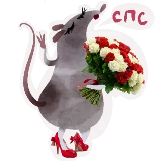 💁‍♀️ СПС szczur, mysz, bukiet, kwiaty, róże, szpilki, dziękuję whatsapp sticker