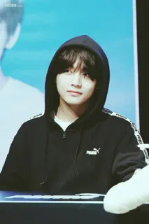 💸 V V, BTS, K-pop, Puma, Hoodie, Korean idol, Singer telegram sticker