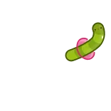 🪱 minhoca, rosa, verde, fofo, desenho animado telegram sticker