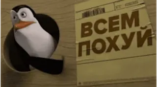 Больше стиков тут: @stikery4 whatsapp stickers