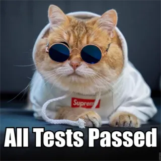 😎 All Tests Passed cat, glasses, hoodie, passed, tests, pet, funny telegram sticker