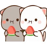 🍉