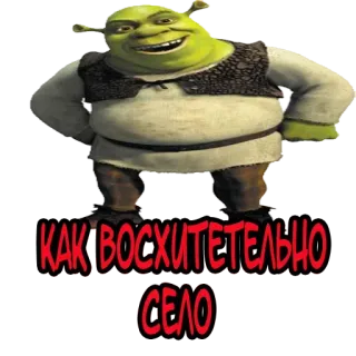 😚 Shrek КАК ВОСХИТЕЛЬНО СЕЛО Shrek, ogro, desenho animado, filme, engraçado, meme telegram sticker