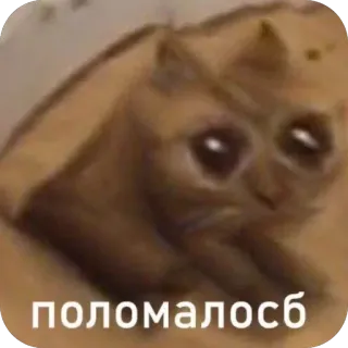 🫥 поломалосьб telegram sticker