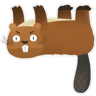 🤔 castor, animal, desenho animado, engraçado, fofo, roedor telegram sticker