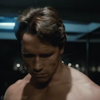 🤨 Arnold Schwarzenegger 피트니스, 보디빌딩, 근육, 배우, 유명인, 남성, 어깨 telegram sticker