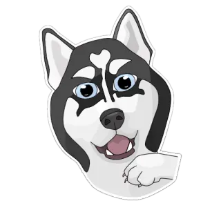 😯 anjing, husky, hewan, peliharaan, kartun telegram sticker