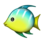 🐠