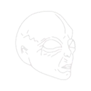 VIP | @Amirhossein_mahboobi telegram emojis 👽
