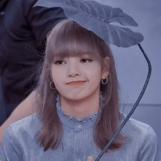 🙂 Lisa kpop, blackpink, idole, chanteuse, célébrité, femme, portrait telegram sticker