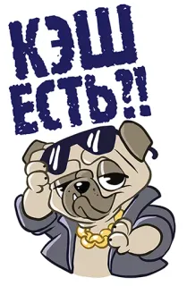 😤 КЭШ ЕСТЬ!!! perro, carlino, gafas de sol, efectivo, dinero, dibujos animados telegram sticker
