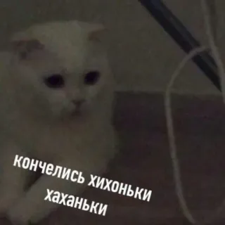 🤡 кончелись хихоньки хаханьки chat, russe, texte, triste, drôle, mème telegram sticker