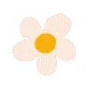 🌺