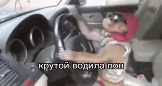 🏎 крутой водила пон car, driving, funny, sunglasses, scarf telegram sticker
