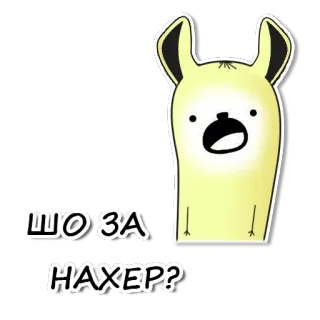 😳 ЩО ЗА НАХЕР? Kartun, Lucu, Stiker, Pertanyaan telegram sticker