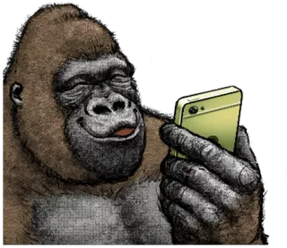 📱 горилла, животное, обезьяна, примат, телефон, технологии whatsapp sticker