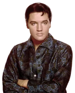 😐 Elvis Presley Elvis, Elvis Presley, Ca sĩ, Nhạc sĩ, Rock and Roll, Ông hoàng, Văn hóa Pop telegram sticker