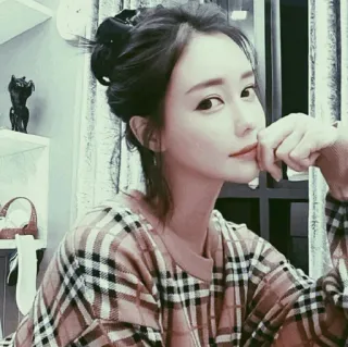 🐾 donna, plaid, ritratto, bellezza, moda telegram sticker