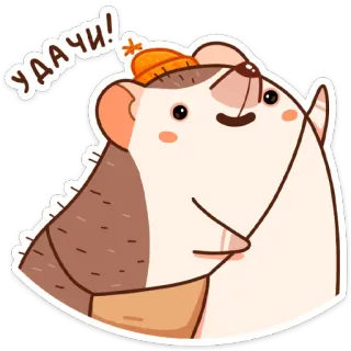 🤞 УДААЧИ! hedgehog, cartoon, cute, hat, good luck, waving telegram sticker