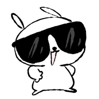 💞 conejo, cool, gafas de sol, lindo, dibujos animados, animal whatsapp sticker