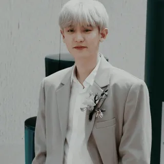🏹 K-POP, EXO, チャニョル, 歌手, 俳優, アイドル telegram sticker