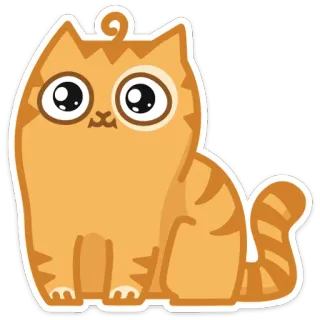 😐 chat, mignon, animal, animal de compagnie, kawaii, orange telegram sticker
