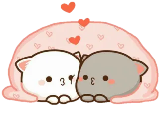 😘 gato, lindo, amor, corazones, animal whatsapp sticker