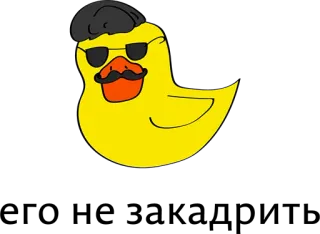 😂 duck, sunglasses, mustache, cartoon, funny, animal telegram sticker