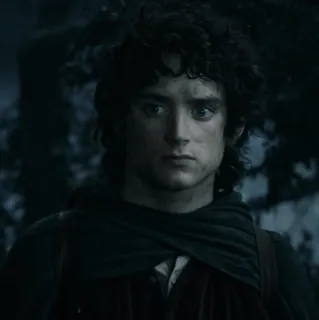 💍 Frodo Baggins The Lord of the Rings Frodo, Senhor dos Anéis, Elijah Wood, Fantasia, Filme, Hobbit whatsapp sticker