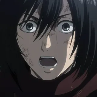 ❤️ Mikasa Ackerman Attack on Titan อนิเมะ, ตัวละคร, ผ่าพิภพไททัน, มิคาสะ, มิคาสะ แอคเคอร์แมน, กลัว, ตกใจ whatsapp sticker