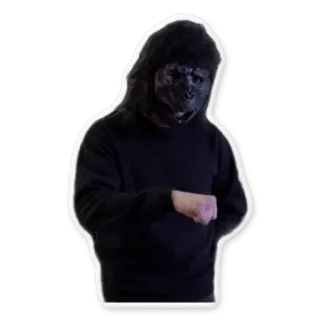 Паша Техник (@savelifeua) telegram stickers