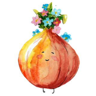 ☺️ zwiebel, blume, süß, aquarell, gemüse, essen telegram sticker