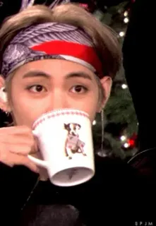 🙃 V kpop, bts, v, тэхён, айдол, чай, собака whatsapp sticker
