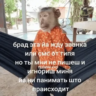 Больше стиков тут: @stikery4 telegram stickers