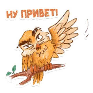 👋 НУ ПРИВЕТ! gufo, saluto, ciao, carino, animale, ramo, uccello telegram sticker