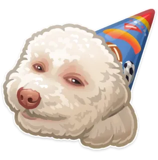 🎉 개, 파티, 파티 모자, 동물, 귀여운, 축하, 애완동물 telegram sticker