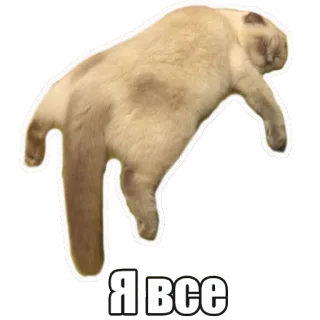 😴 Я все chat, drôle, mème, russe telegram sticker
