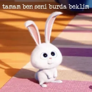 👋 Snowball The Secret Life of Pets tamam ben seni burada beklim 눈덩이, 토끼, 귀여운, 기다리는, 애완 동물, 만화 whatsapp sticker