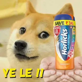 🥛 Doge YE LE !! doge, meme, divertido, horlicks telegram sticker