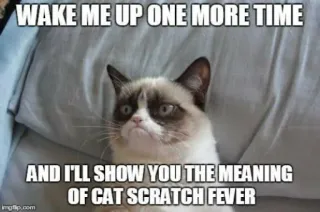 😴 Grumpy Cat WAKE ME UP ONE MORE TIME
AND I'LL SHOW YOU THE MEANING
OF CAT SCRATCH FEVER 暴躁猫, 表情包, 猫, 搞笑, 幽默, 讽刺 whatsapp sticker