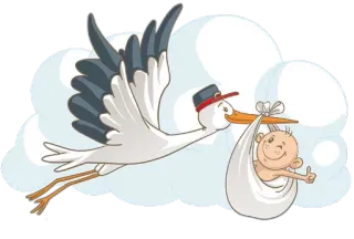 👶 аист, ребенок, новорожденный, роды, птица telegram sticker