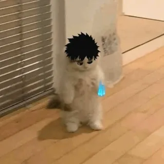 🐈 gato, gatinho, engraçado, fofo, animal, em pé, meme telegram sticker